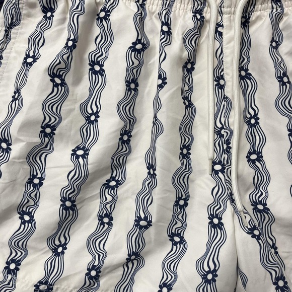 PacSun Swim Trunks Mens‎ XL Blue White Wavy Stripe Floral Lined Shorts Beach - Picture 2 of 11